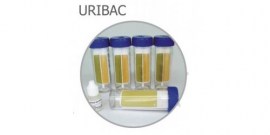 Uribac - Laminocultivo Para Urina - 50 Unid - Probac